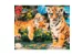 Картина по номерам Тигрята, 40*50 см